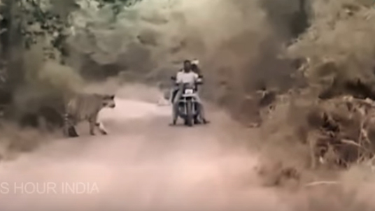 Hai người đàn ông