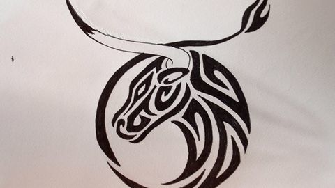 Tìm hiểu về chòm sao Kim Ngưu trong 12 cung Hoàng Đạo