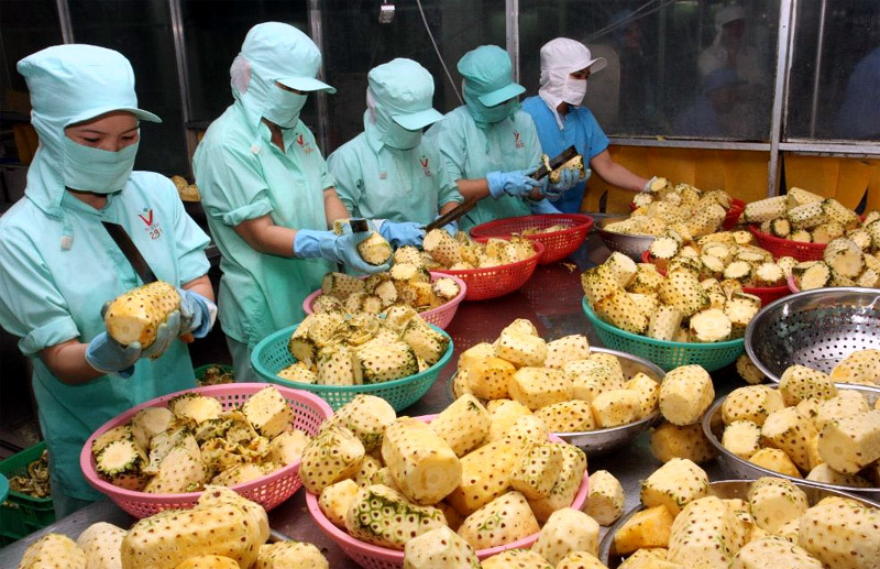 Kỳ tích rau quả vượt dầu khí, nghịch lý dân Việt cuồng đồ ngoại