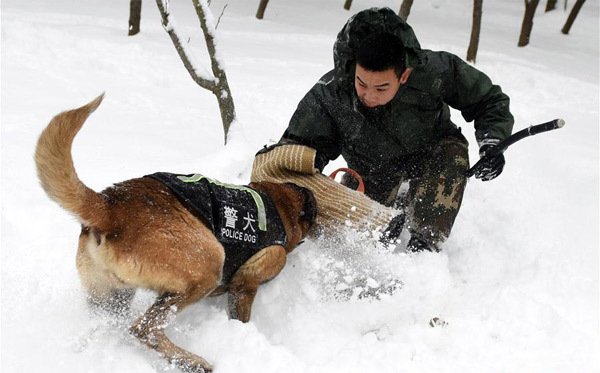 Xem cảnh sát TQ luyện chó nghiệp vụ giữa tuyết trắng