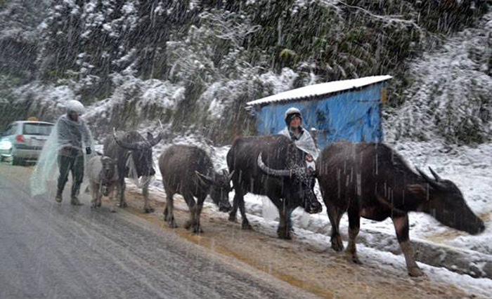 Dự báo thời tiết 10 ngày tới: Ngày càng rét, Mẫu Sơn -1 độ
