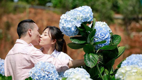 MC Hoàng Linh hôn chú rể đắm đuối ở vườn hoa cẩm tú cầu