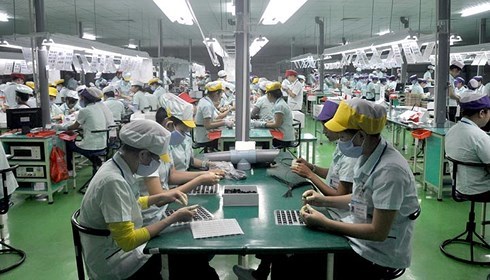 Thưởng Tết bằng... thuốc trừ sâu, phân bón